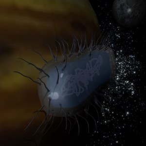 The Hroon ship Search for Salvation in orbit around Jupiter
